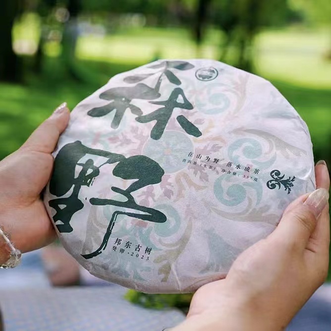 【云大觉】森野2023年邦东片区春茶200年古树 357g/饼 普洱茶 生茶